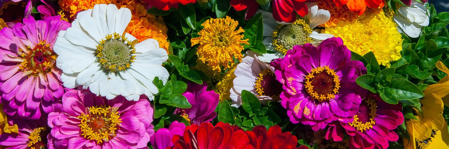 Danny Contreras banner