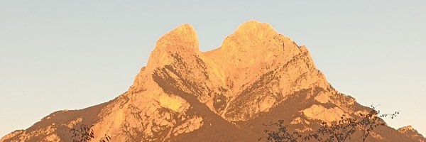 HostaIgn Profile Banner