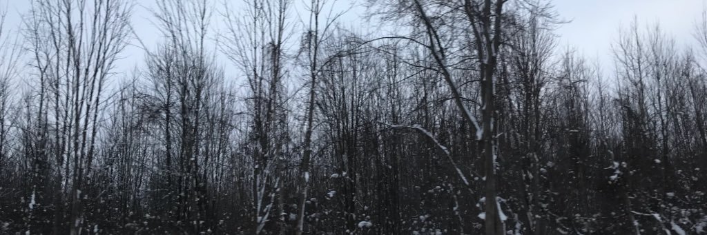 M banner