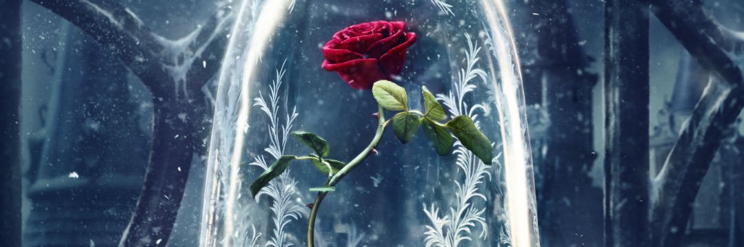 putsherina's profile banner image