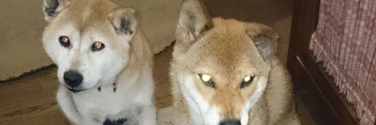 froutriver's profile banner image