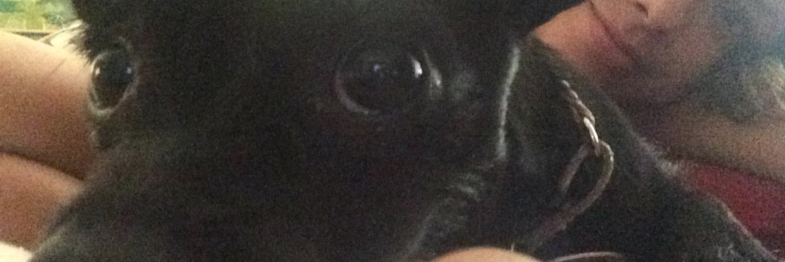 _Nelly_Lopez_'s profile banner image
