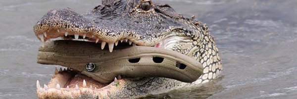 juanfcam Profile Banner