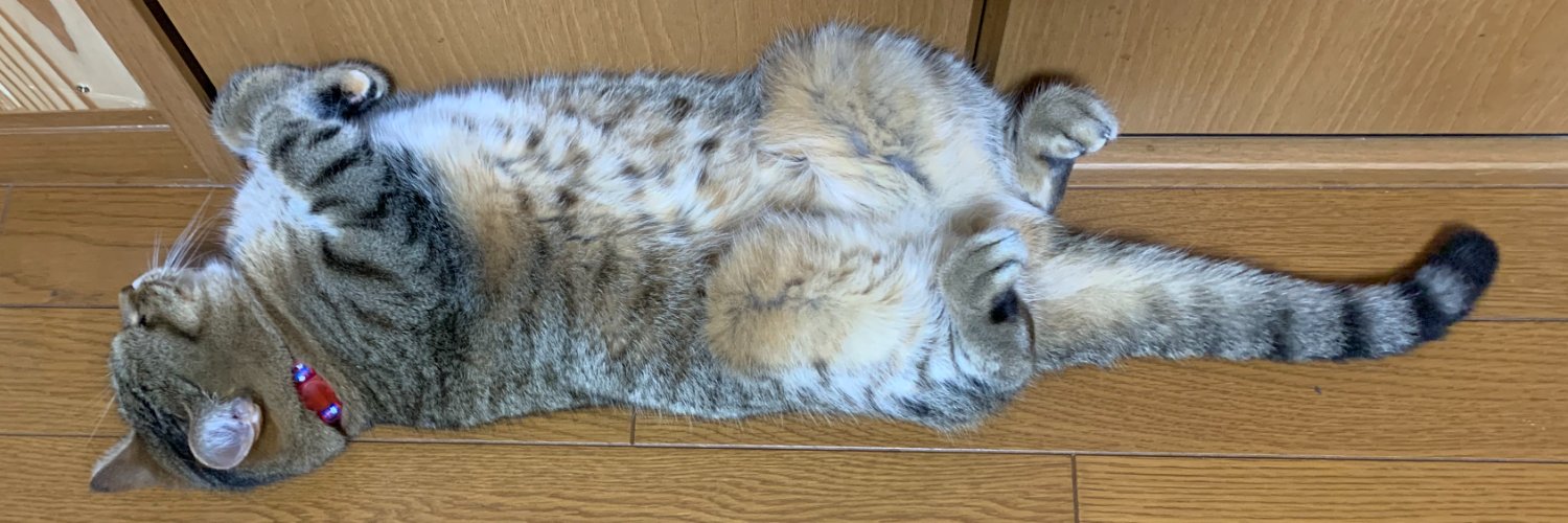 tail_of2's profile banner image