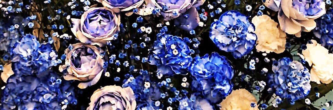 _0604_shi_'s profile banner image