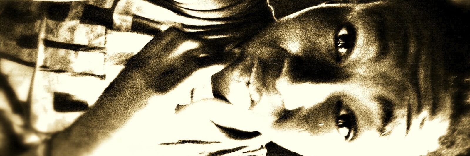 baddestboy_sa's profile banner image