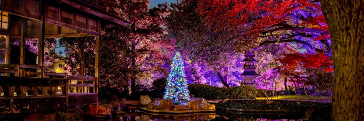 Rachel DeLira Pictures banner