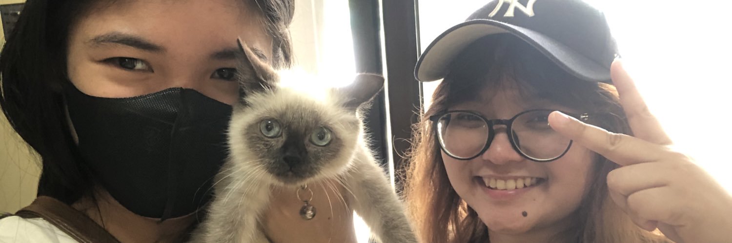 ainnoyyingg's profile banner image
