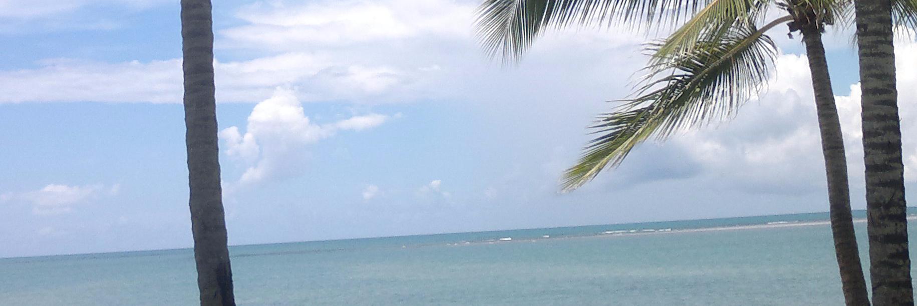 migasferraz's profile banner image
