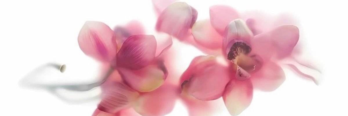 tenebnoj_'s profile banner image