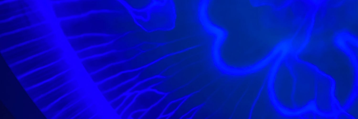 08_meteor's profile banner image