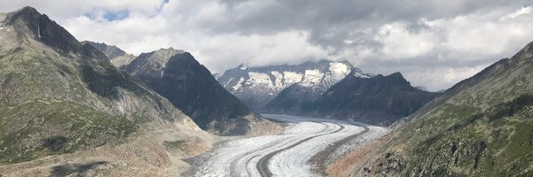 Pocacito Profile Banner