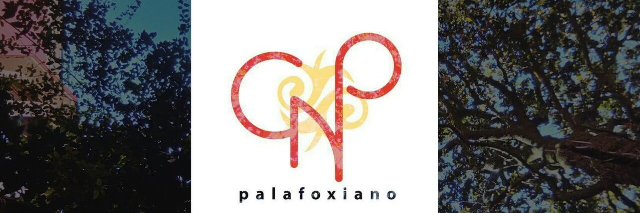 ColPalafoxiano's profile banner image
