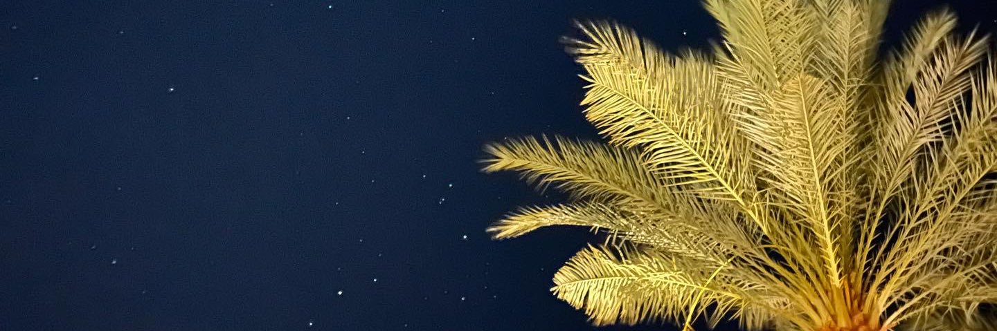 SoGlads's profile banner image