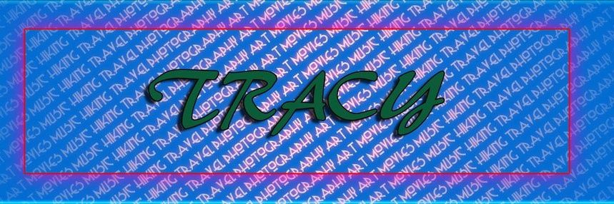 traechele's profile banner image