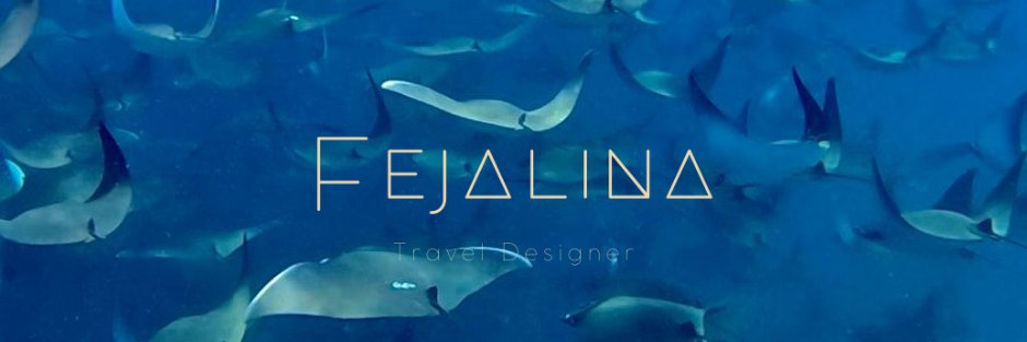 FerJrmll's profile banner image