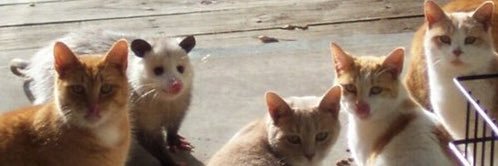 gsnyder98's profile banner image