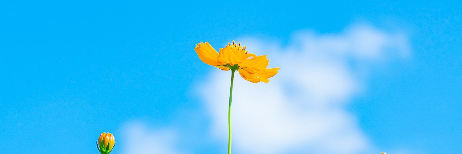 pictureusirl's profile banner image