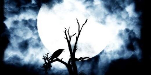 Raven24Gremory's profile banner image
