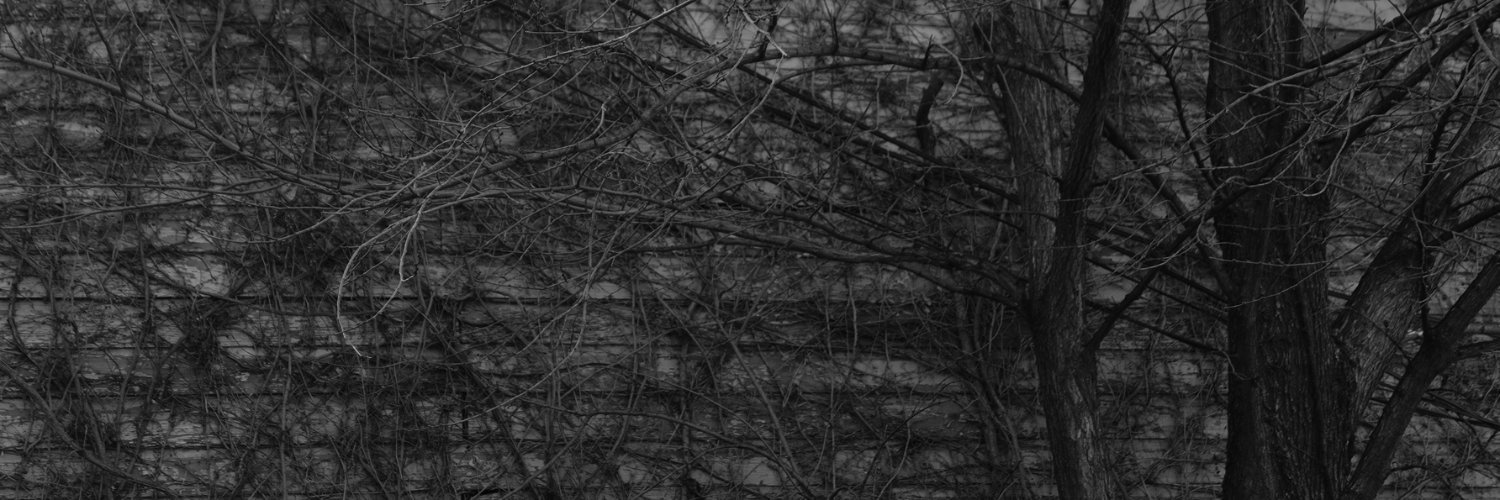 xnslrzn's profile banner image