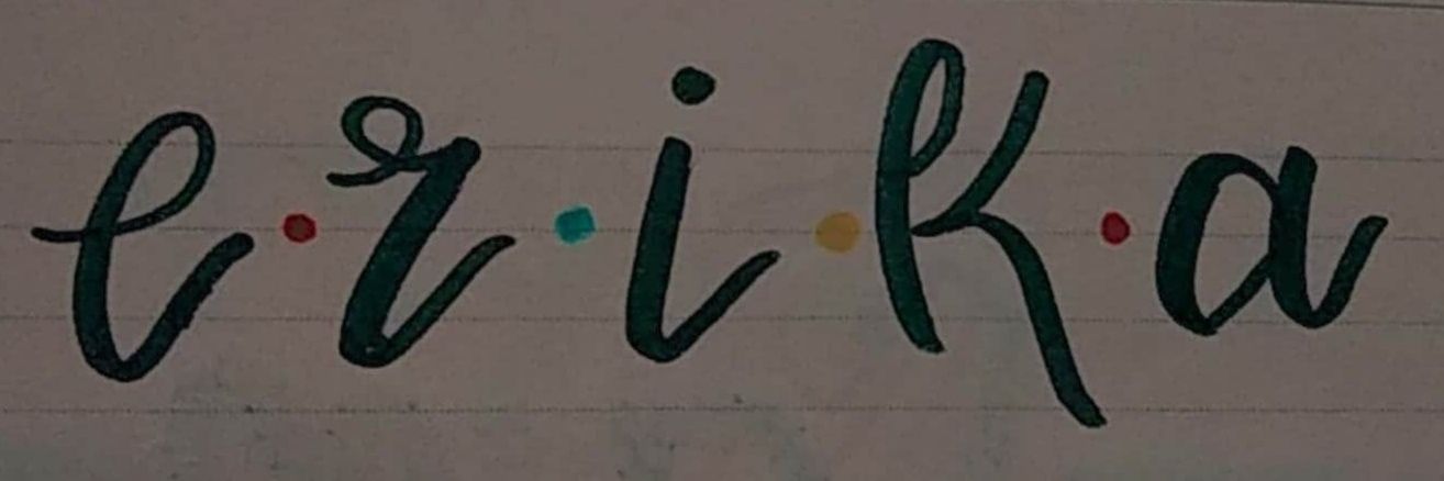 eriKaa_Ls's profile banner image