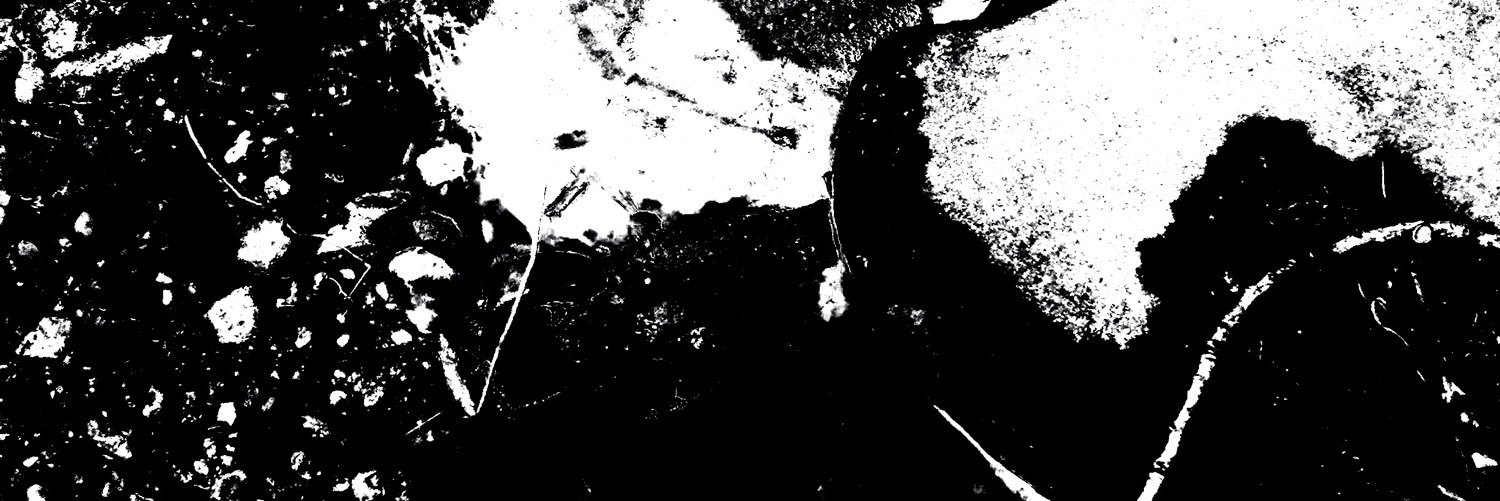 STOMACHPUMPWI's profile banner image