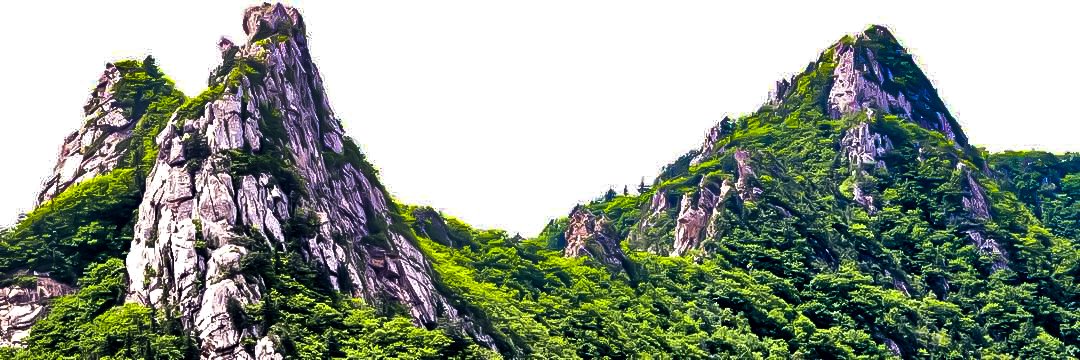 78yhpark's profile banner image