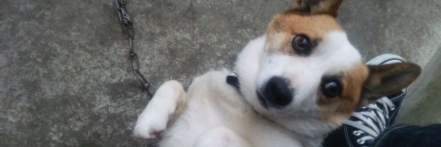 maopsm's profile banner image
