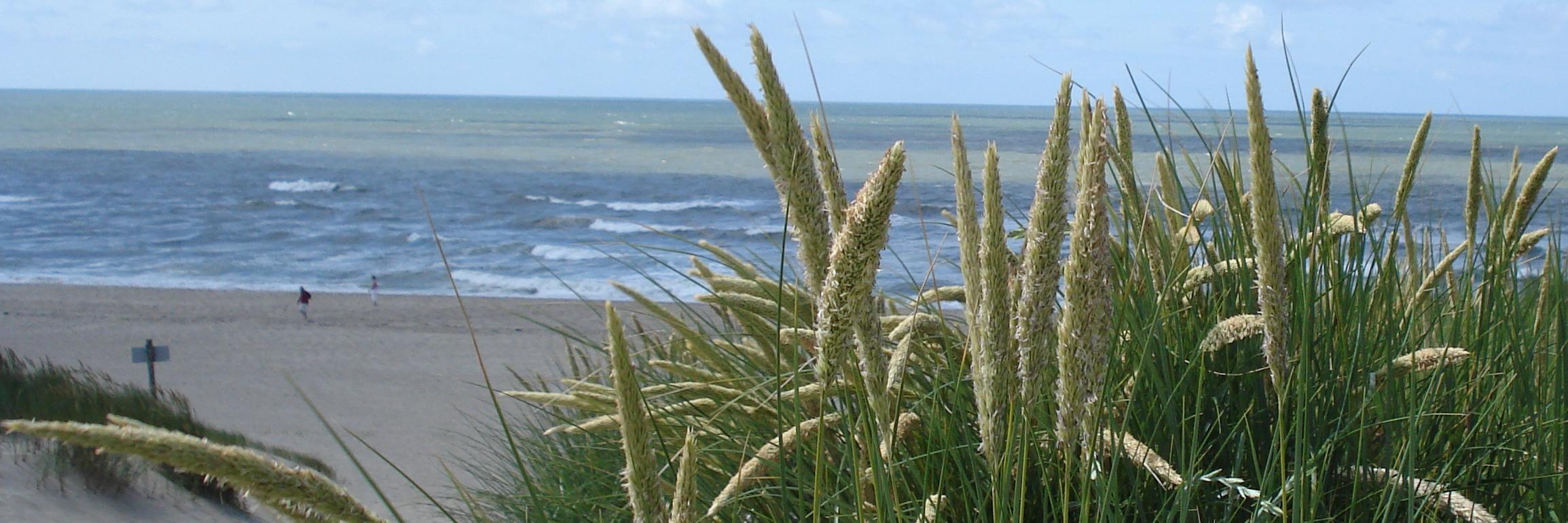 odetexel's profile banner image
