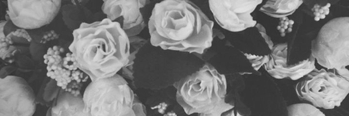 ashleystyles102's profile banner image
