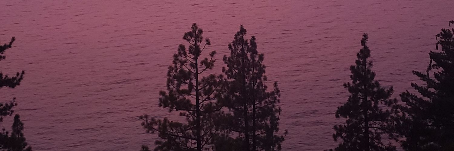 BigDadyBoneless's profile banner image
