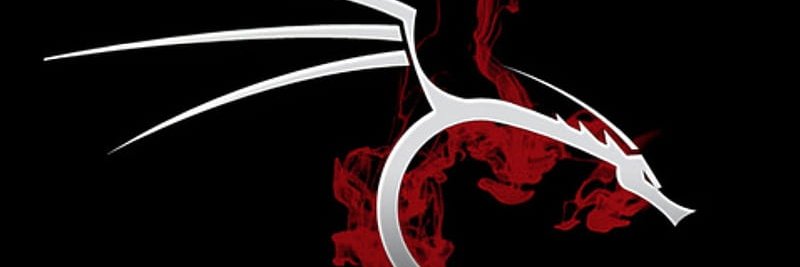 1kali_destroyer's profile banner image