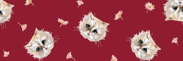 eminathekitten's profile banner image
