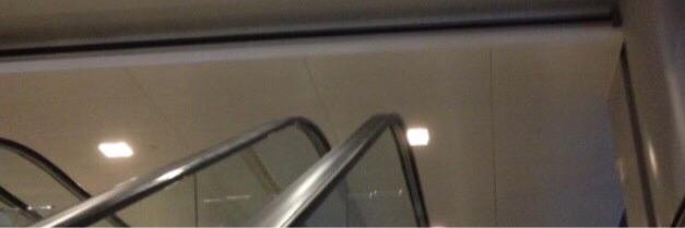 Dylanallgdrss_'s profile banner image