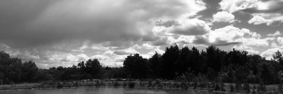 Matt Powell 📷 banner