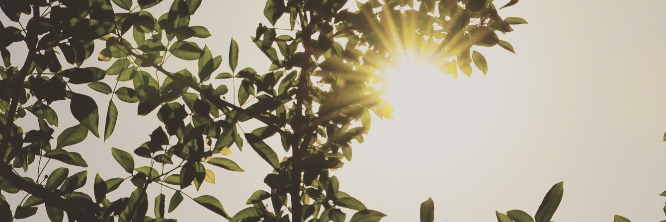 capturesunshyne's profile banner image
