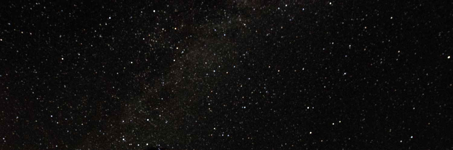 Madeline Eskind Litvack banner