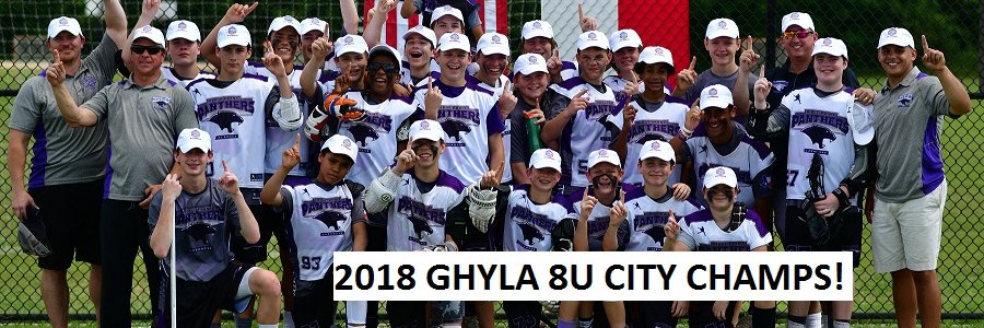 FBPanthersLax's profile banner image