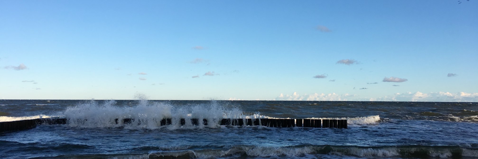 Christiane Enkeler banner