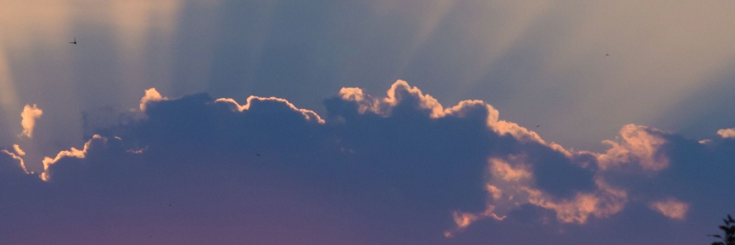 maigad00's profile banner image