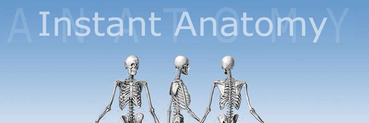 Instant Anatomy Profile Banner
