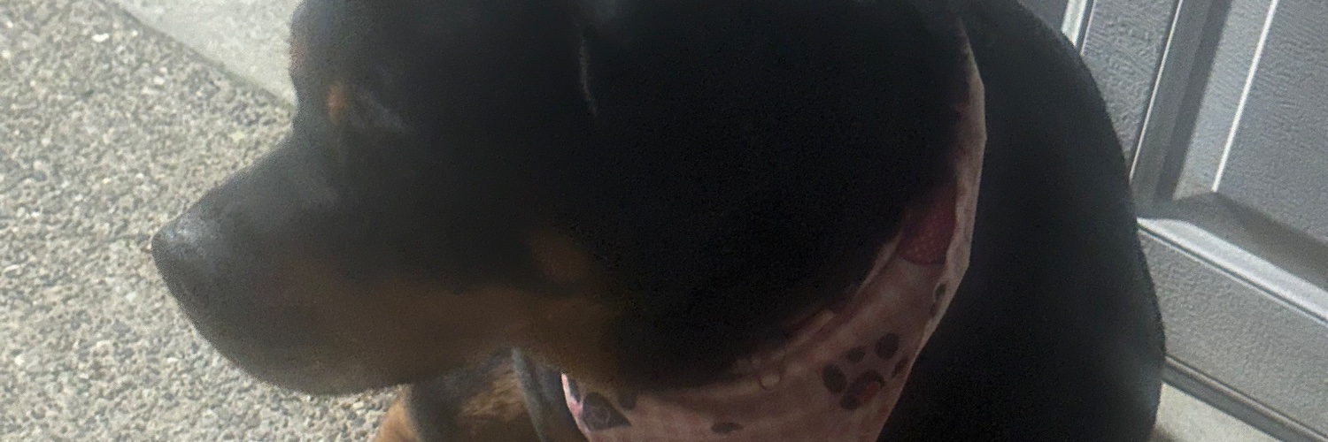 JordanSimmons68's profile banner image