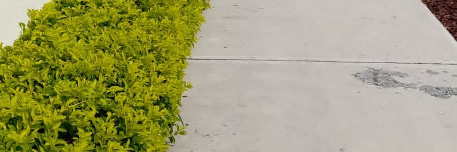 jesmata86's profile banner image