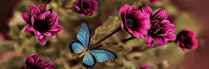 Thapi_RSA's profile banner image