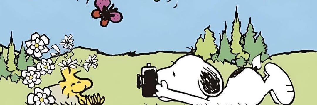 azulcelestegj's profile banner image