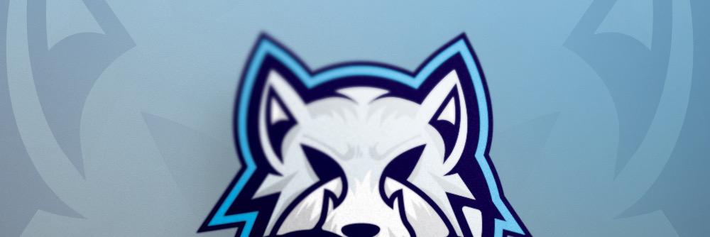 WhiteFoxEsports's profile banner image
