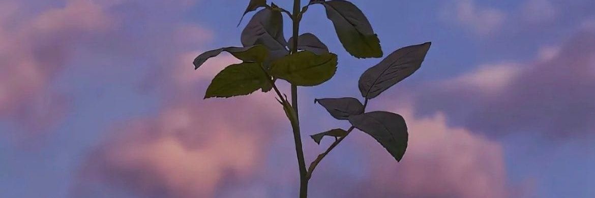walkercrazy5's profile banner image