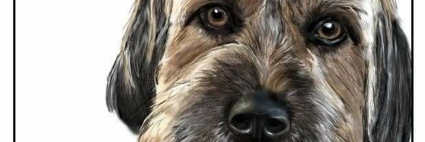 Darren Horsewood banner