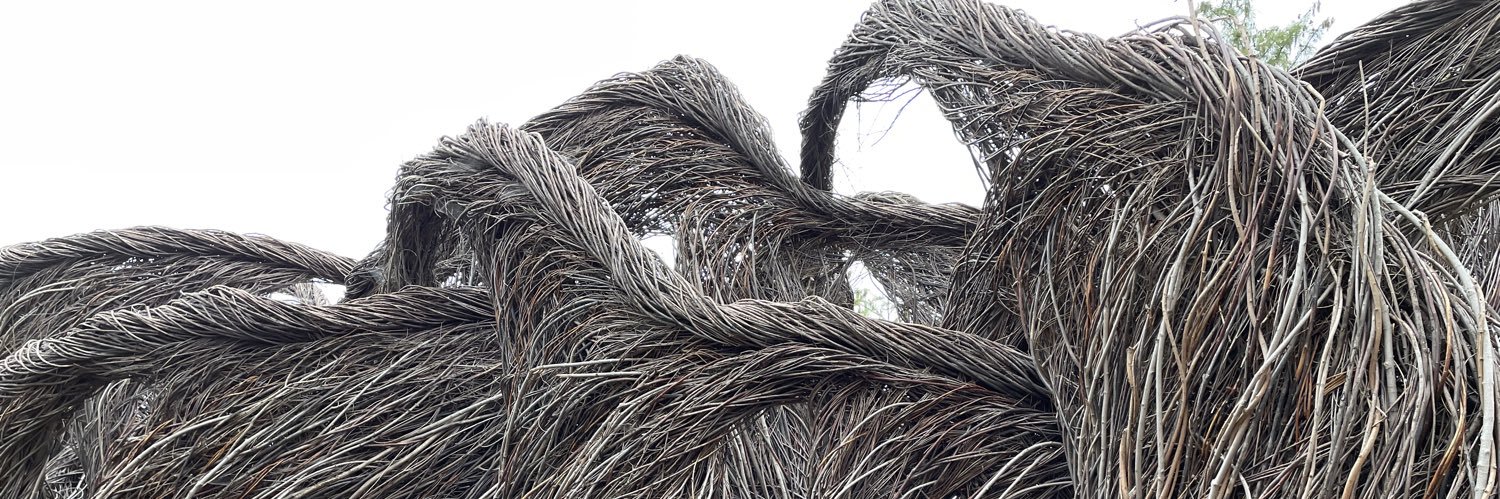 Marcos V. Chiliatto banner