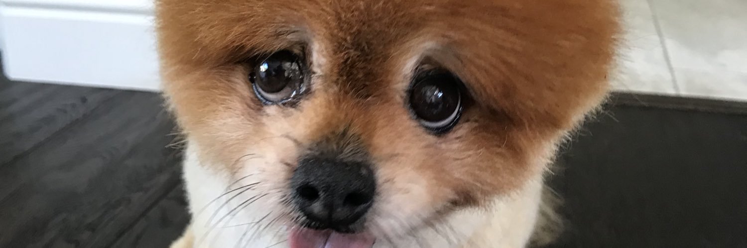 DavidAllenSD's profile banner image